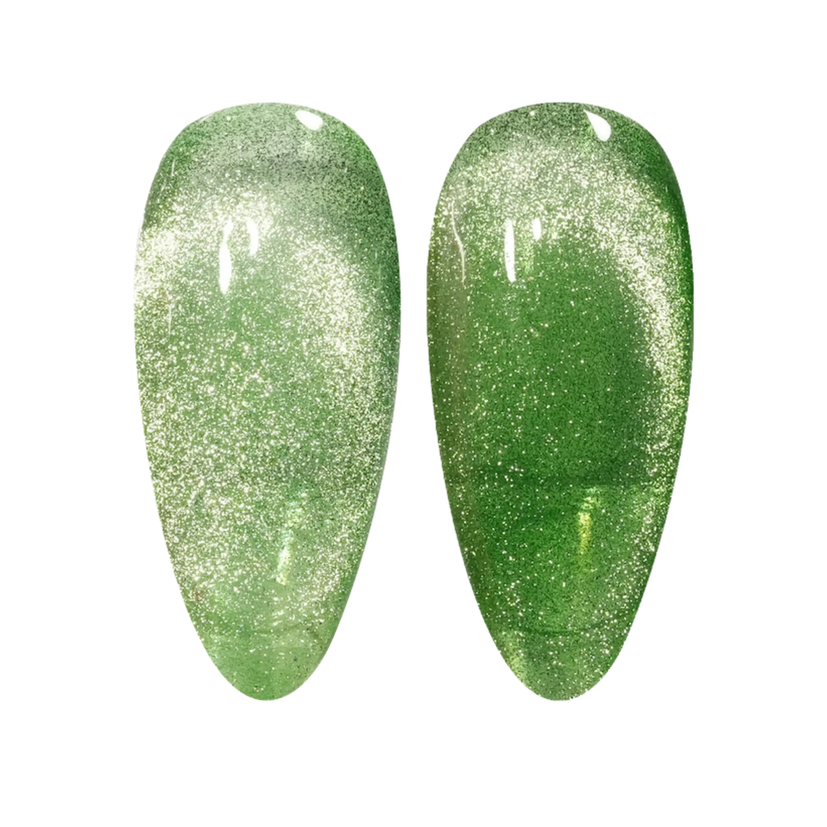 07 Velvet Fern