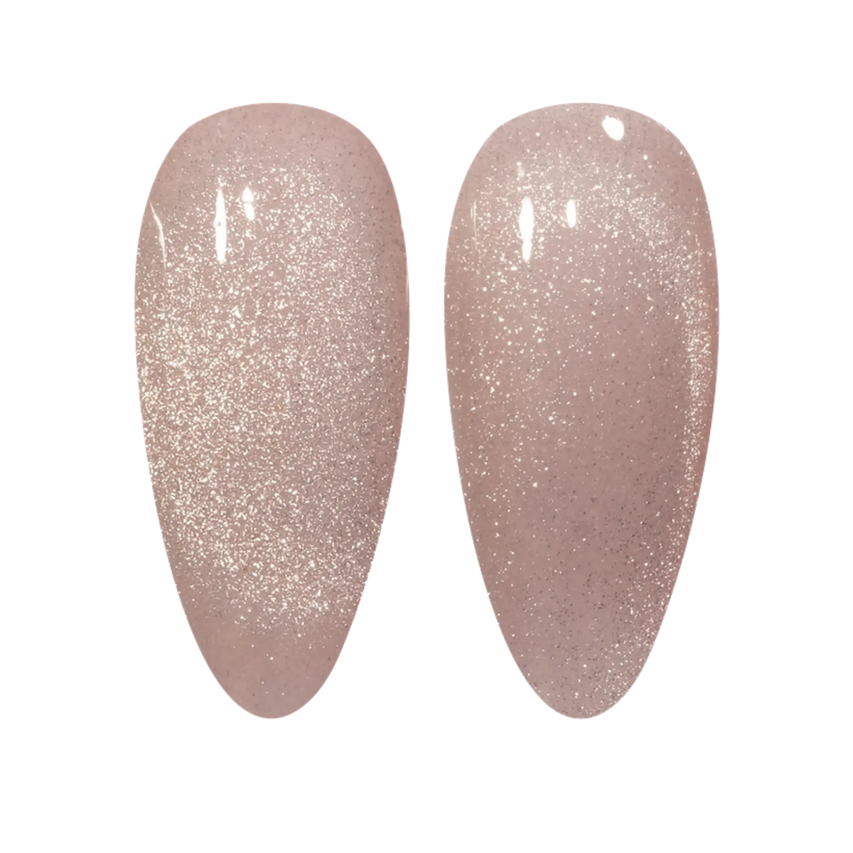 31 Fossil Ice